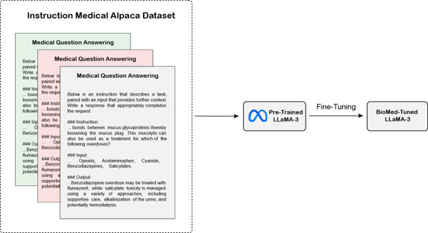 LLaMa-3 Fine-Tuning finetuning