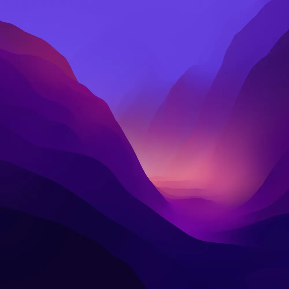back.webp