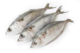 goodfish.jpeg